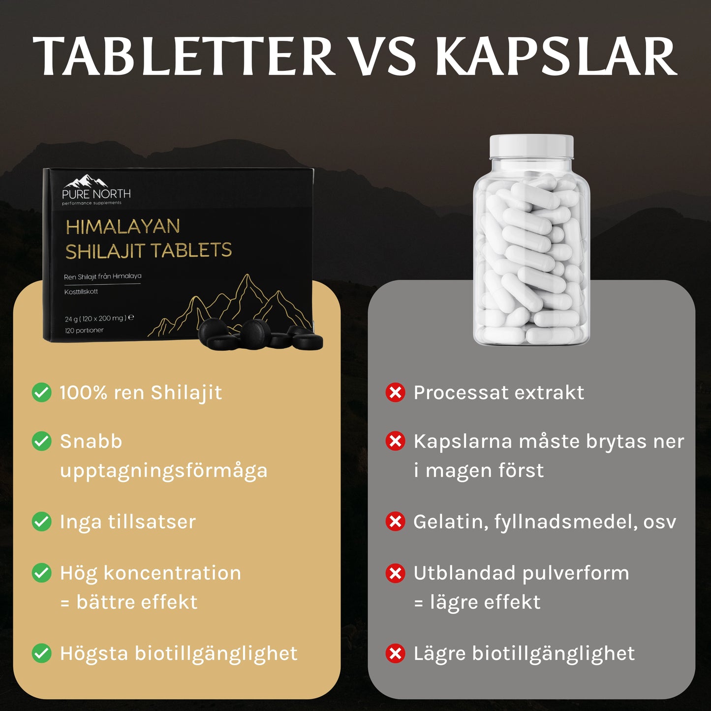 Himalayan Shilajit Tablets