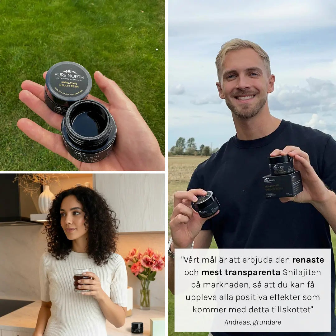 Pure North Himalayan Shilajit Resin 30g