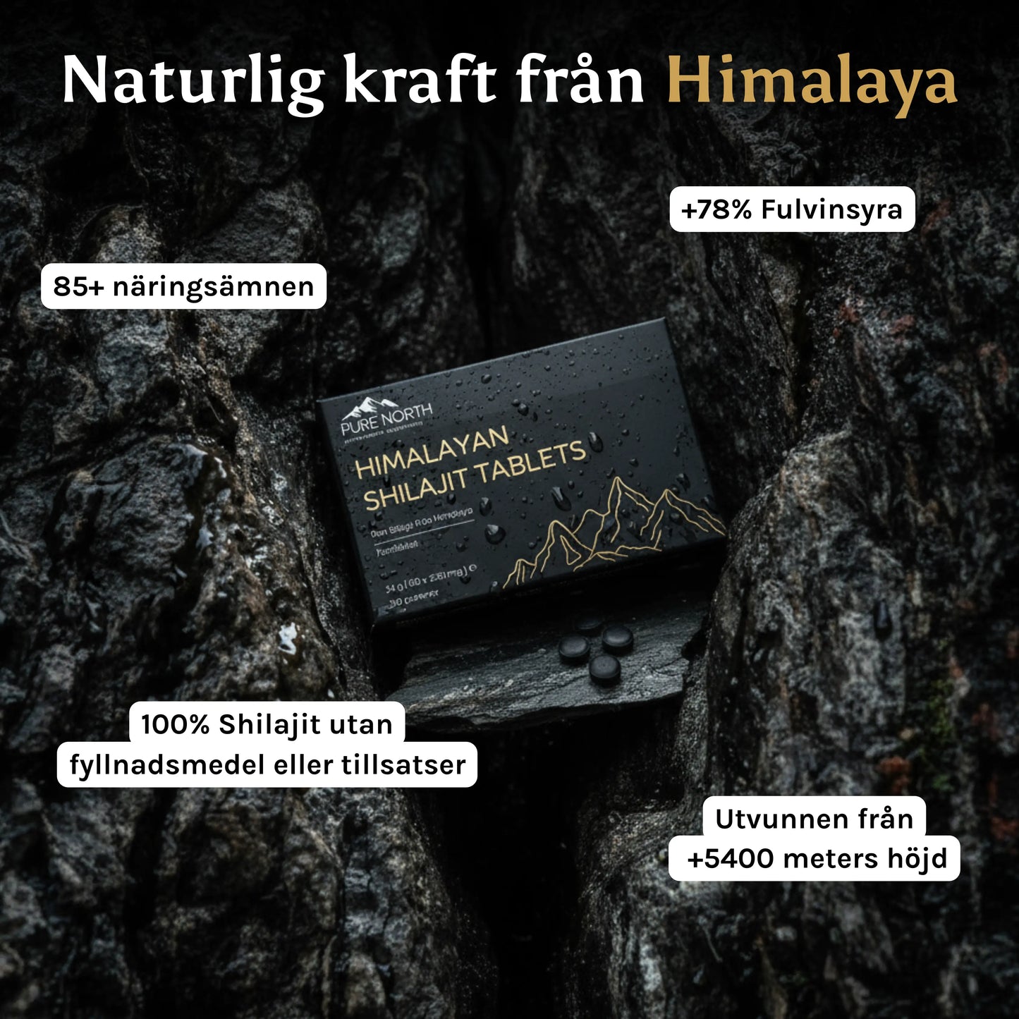 Himalayan Shilajit Tablets