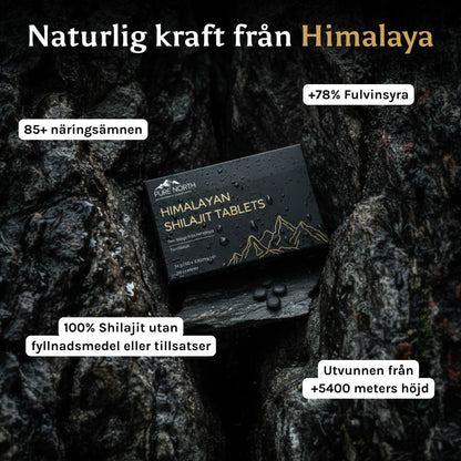 Himalayan Shilajit Tablets