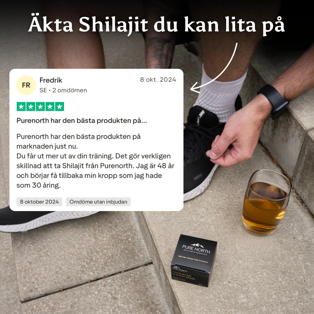 Pure North Himalayan Shilajit Resin 30g