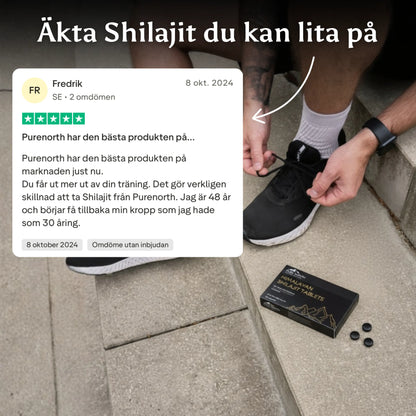 Himalayan Shilajit Tablets