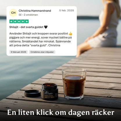 Pure North Himalayan Shilajit Resin 30g