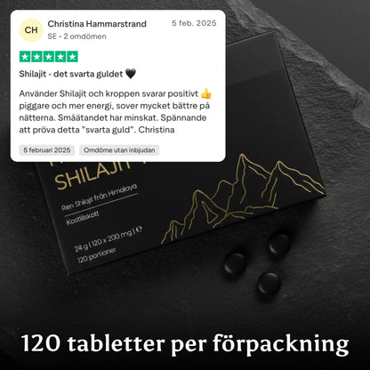 Himalayan Shilajit Tablets