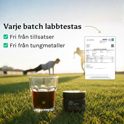 Pure North Himalayan Shilajit Resin 30g